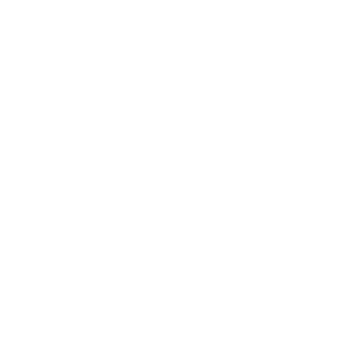 wordpress güvenlik optimizasyonu