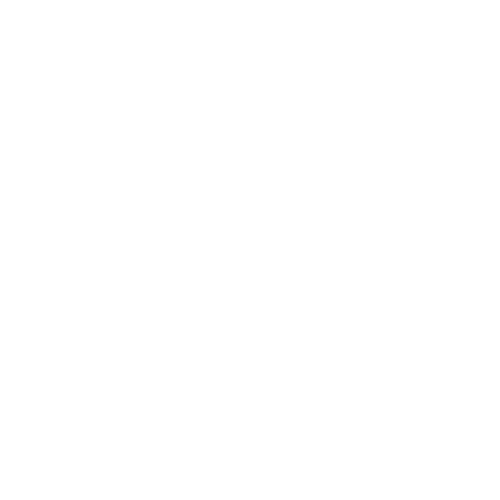 wordpress paket